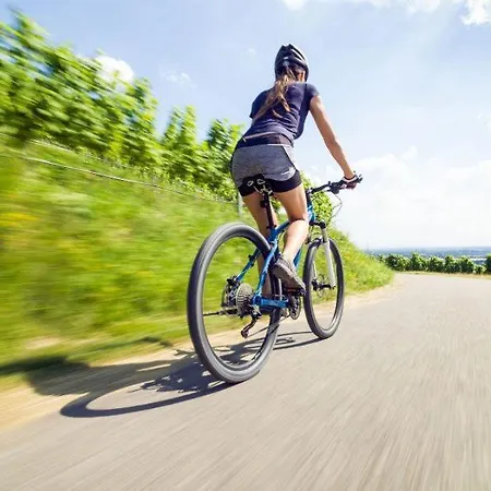 Trip Parkhotel 酒店 巴特埃姆斯