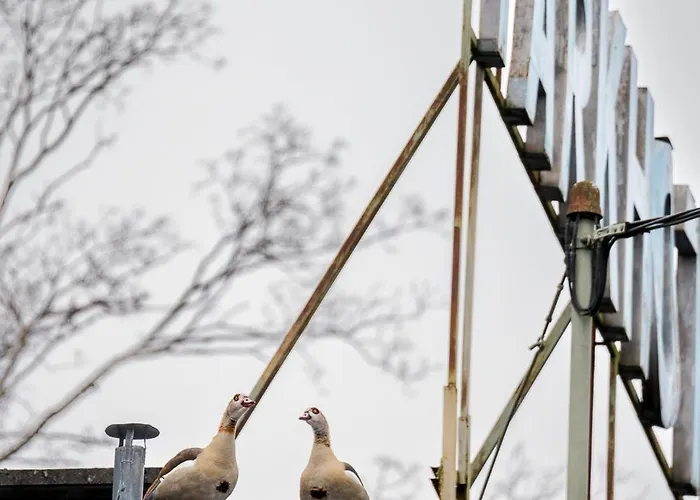 Trip Parkhotel 3* バート・エムス