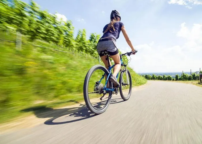 Trip Parkhotel ホテル バート・エムス